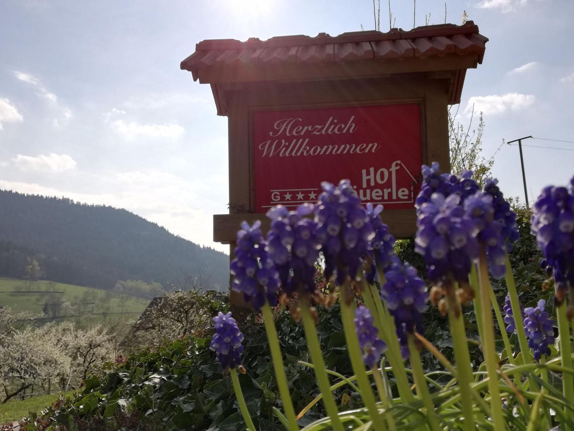 Baeuerlehof Seebach Exterior foto